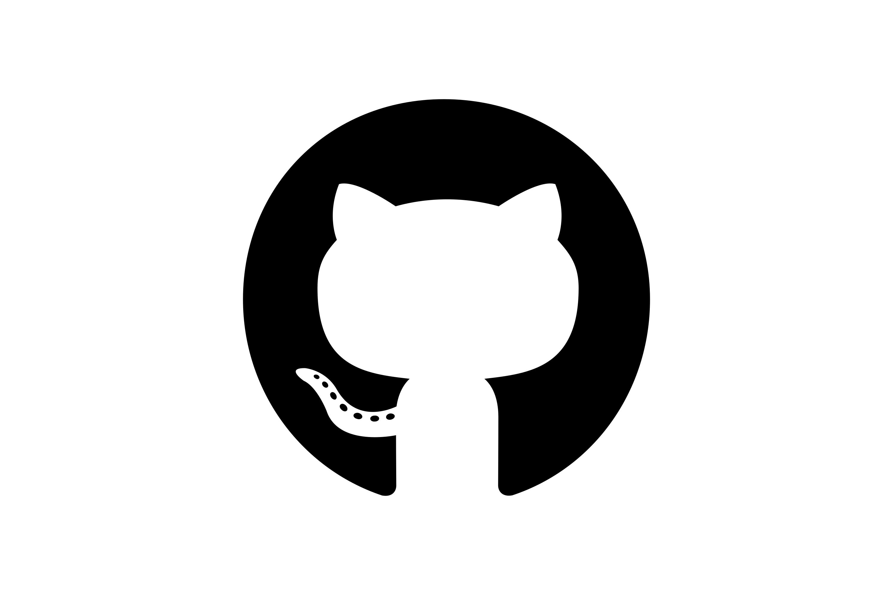Partner 5